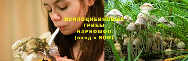 СК Балахна