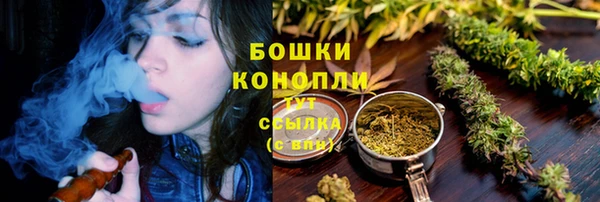 СК Балахна